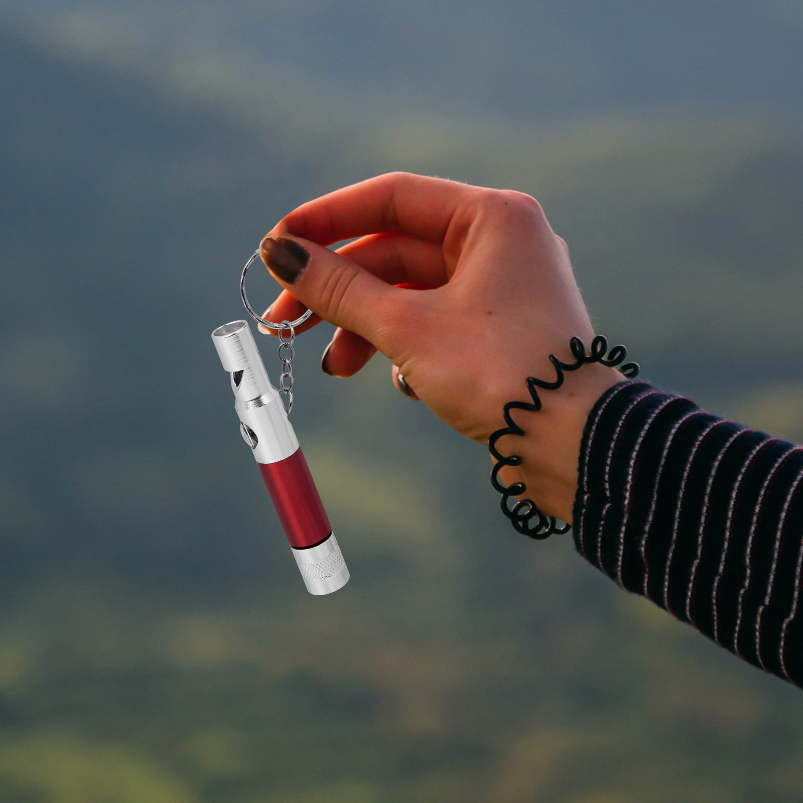 2Pcs Emergency Survival Whistl - Emergency Whistle Loud 评论和价格